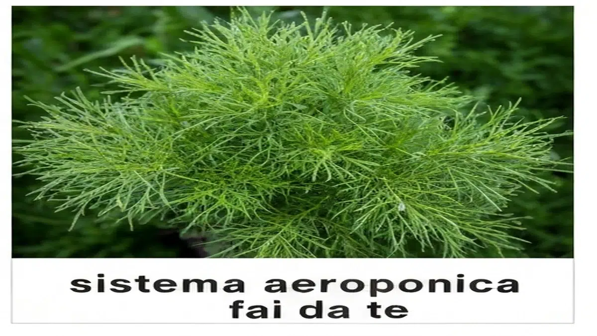 Sistema aeroponica fai da te - Guida Completa 2025